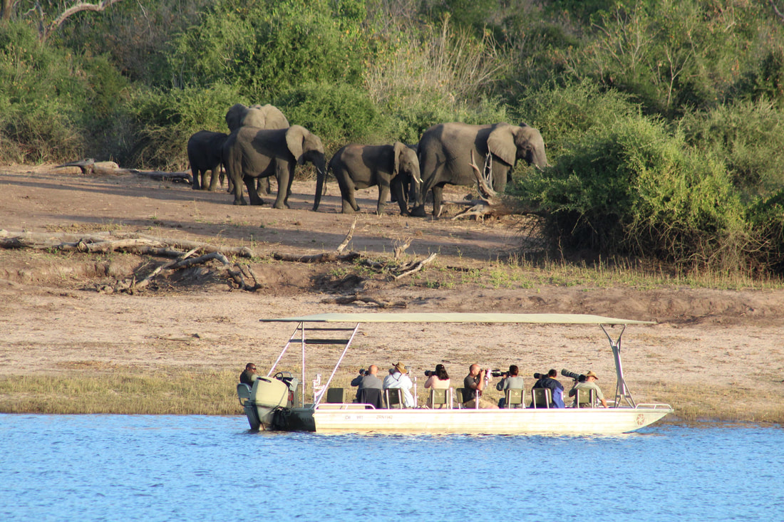 Photography Boat Trip Zambezi National Park