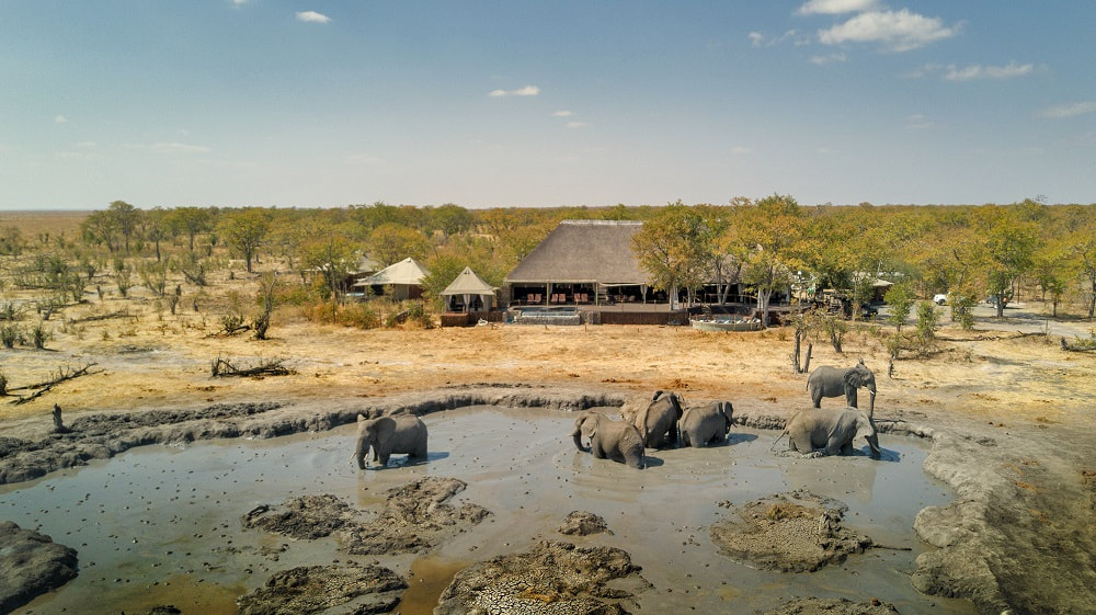 Chobe National Park Indigo Safaris